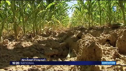 Météo : les restrictions d'eau inquiètent les agriculteurs