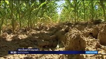 Météo : les restrictions d'eau inquiètent les agriculteurs