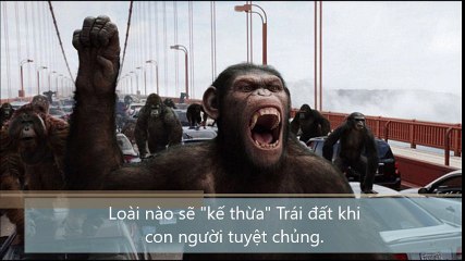 Loài nào sẽ kế thừa, Trái đất khi con người tuyệt chủng