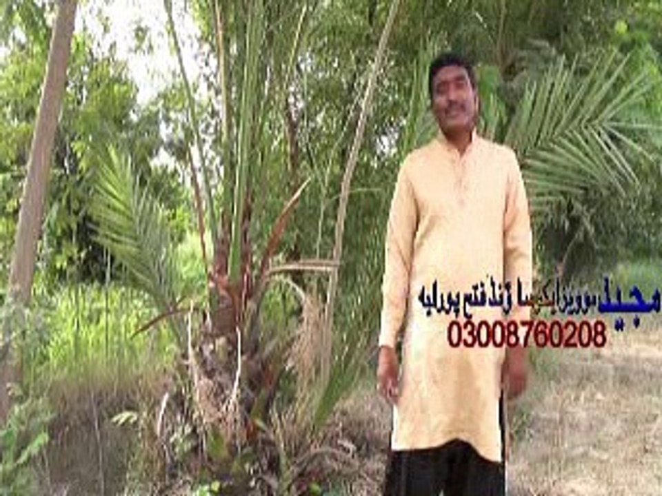 new sraeki song rajha khan armani maser bra maza krendaen