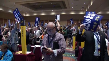 Partidos pequenos agitam a disputa pela Casa Branca