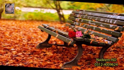 Bewafa Piyar Ki Rahon Main Mujhay Chor Deya Full HD 1080p