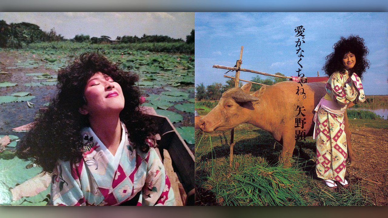 矢野顕子 愛がなくちゃね。 35JC-127 OC02NzY2LmpwZWc.jpeg