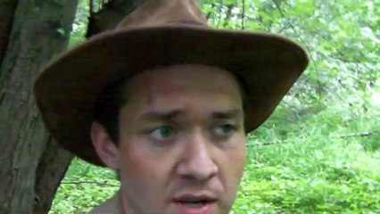 Out On A Walk:  Filming In The Elmwood Road Forest