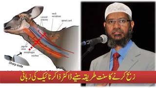 Zibbah Karny Ka Sahi Tariq By Dr Zakir Naik