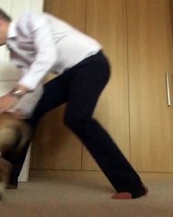 Video of man playing hide and seek with his dog goes viral