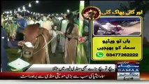 See The Reaction Of Female News Reporter When Cow Try To Hit Her.