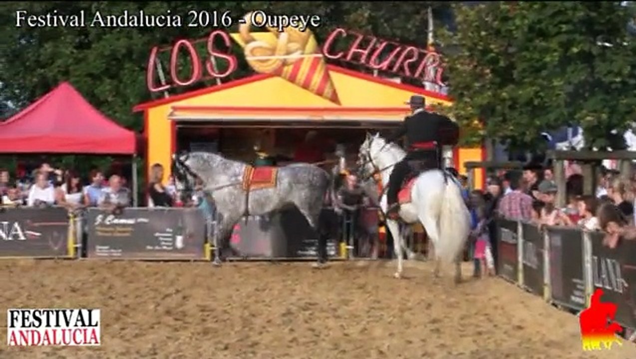 François Lespes - Festival Andalucia Oupeye 2016
