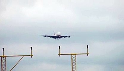 Birds Enjoiying the Storm with Aeroplane