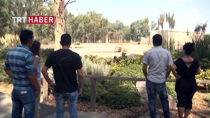 Fil ailesinin bayram temizliği