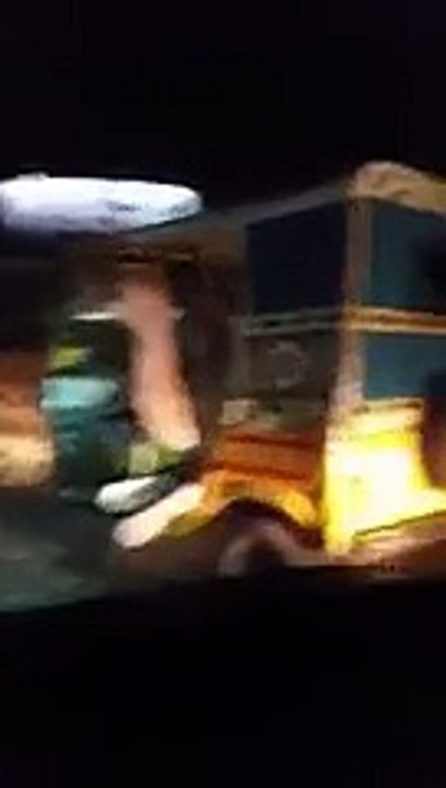 Camel in Rikhshaw