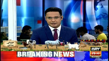 Animal markets get crowded across Pakistan before Eid