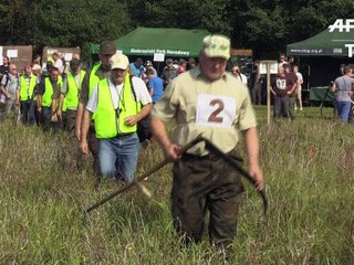 Pologne: le championnat du monde de fauchage à la main, plus qu'un sport