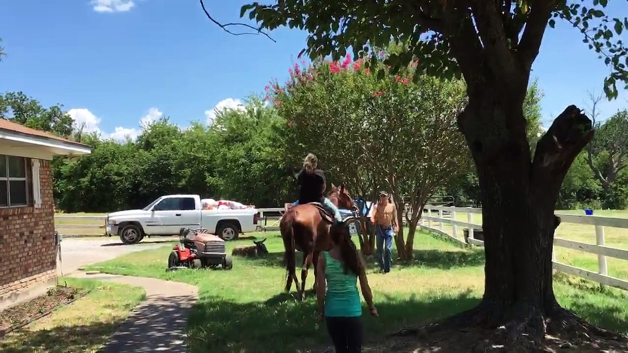 Here's my niece riding a horse at our ranch here in Texas! #rainmakerseo