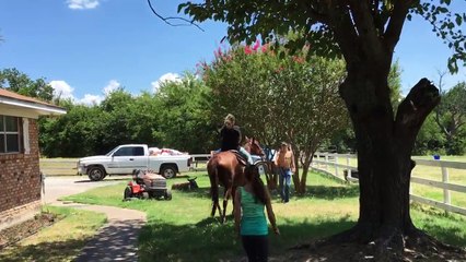 Here's my niece riding a horse at our ranch here in Texas! #rainmakerseo