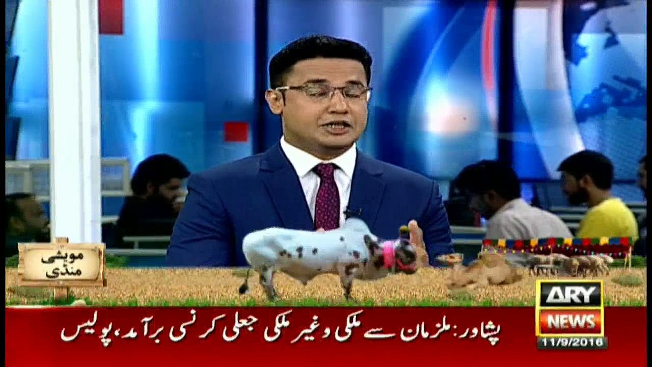 Bulletins 1800 - 11th September 2016