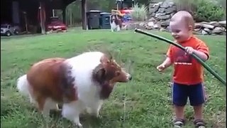 #Baby and Dog play with Hose MP4   Best Funny Video
