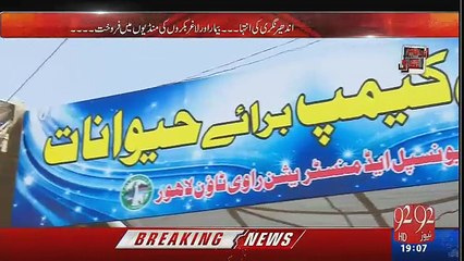 Andher Nagri - 11th September 2016