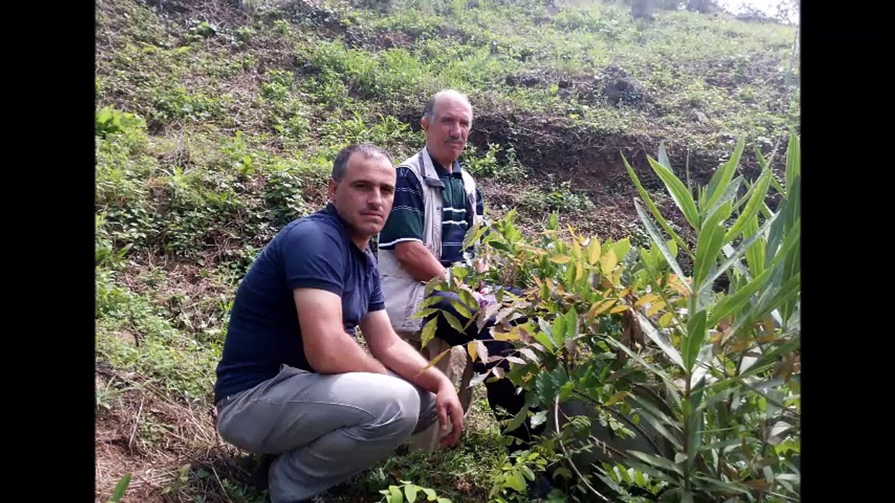 güngör yıldız...Buras- Mu-tur Yolu Yoku-tur........................................