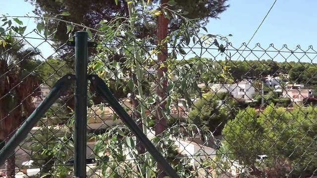 Вилла в Морайре 2016 года постройки, недвижимость в Испании на первой линии моря