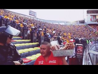 Aficion de Tigres invade el estadio de Morelia