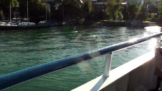 At Lake Zurich,Switzerland 5