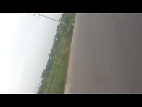 Beautiful bangladesh HD VIDEO, sylhet ratargul forest hd videos,student sex education ,syhilet Tree gerden (16)