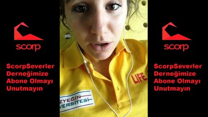 KEDİ Mİ KÖPEK Mİ SCORP