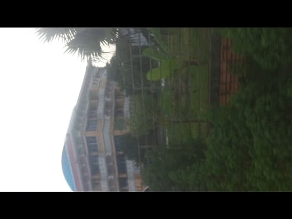 Beautiful bangladesh HD VIDEO,  sylhet ratargul forest hd videos,student sex education ,syhilet Tree gerden   (45)
