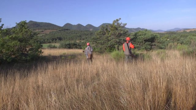 Hautes-Alpes : Une ouverture de la chasse timide à Montjay