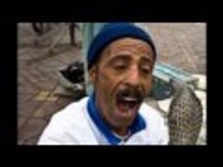 charmeur de cerpent snaik charmers