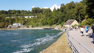 At Rhine Falls Schaffhausen,Switzerland 10