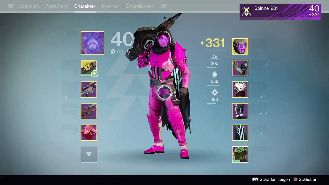 Raid mit Spinne (15)