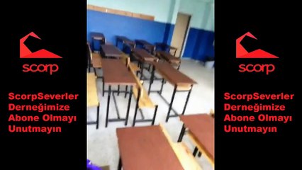 EVRENDE YALNIZ MIYIZ SCORP