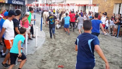 GRAU DU ROI-Bandido-2016-09-10-Aubanel-Lescot