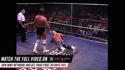 Stunning Steve Austin vs Gentleman Chris Adams Steel Cage