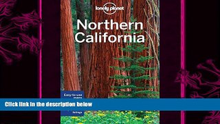 there is  Lonely Planet Northern California (Travel Guide)