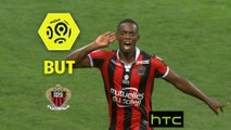 But Wylan CYPRIEN (88ème) / OGC Nice - Olympique de Marseille - (3-2) - (OGCN-OM) / 2016-17