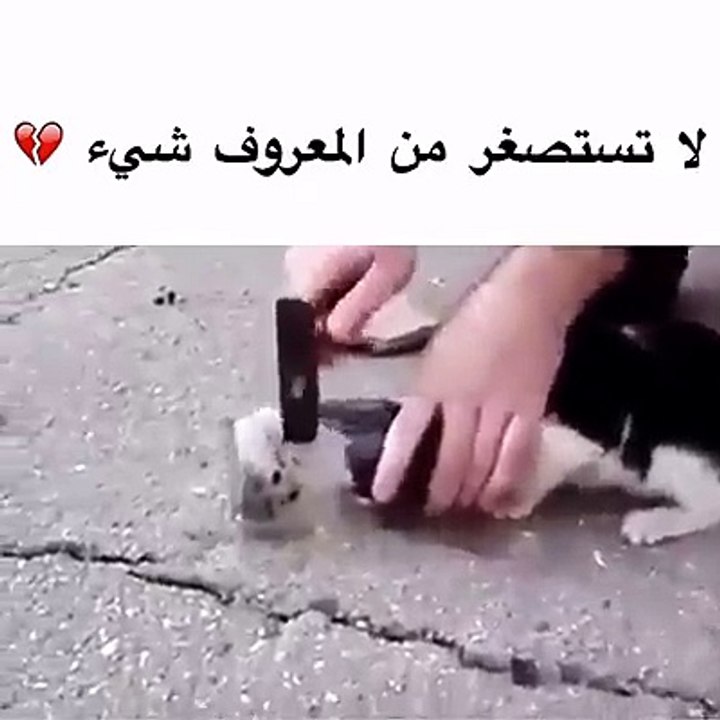 لاتستصغر من المعروف شيئا