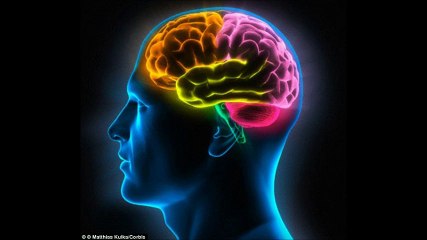 Nghiên cứu mới, xem phim đen, khiến não bị thu nhỏ