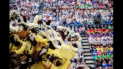 Sublime ! Préparez-vous à en prendre plein les yeux avec la parade des fleurs de Corso Zundert !