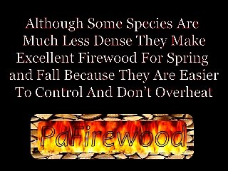 PAFirewood  Common Firewood BTU s Per Cord