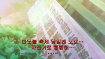 리코더와 란도셀 미 12화