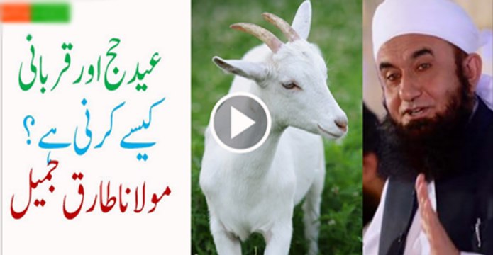 Eid-ul-Azha-Hajj Qurbani-With-Stories-By-Maulana-Tariq-Jameel-2016