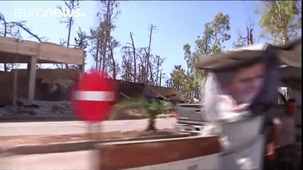 Сирия: перемирие в целом соблюдается