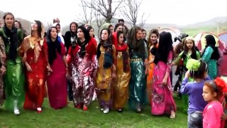 Kurdish Dance new Halparke Kurdi رقص كردي BaShi 2