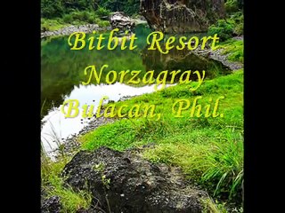 how now, brown cow .. 