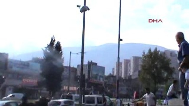 Bursa' da Kaçan Kurbanlık Boğa Avm? Yi Birbirine Kattı