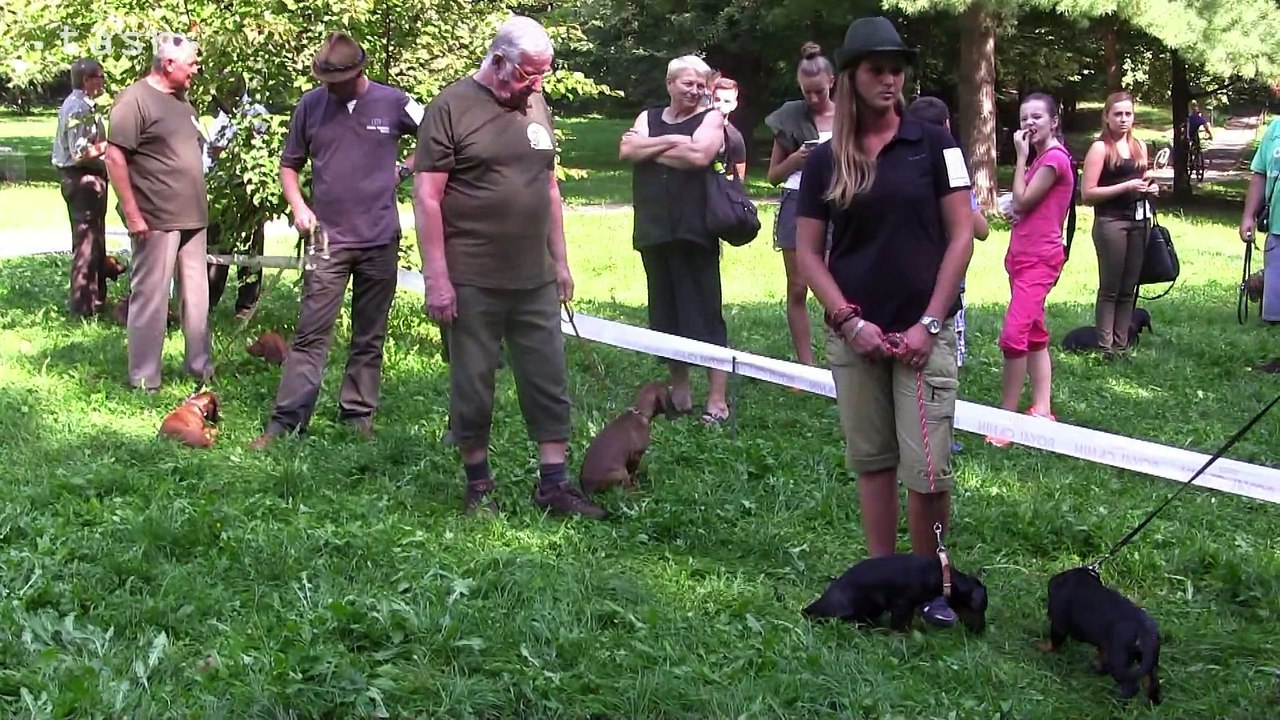 Deň sv. Huberta v Humennom  