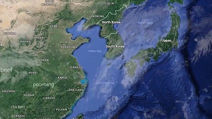 Ce type pense que les animés est un complot